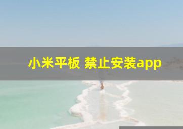 小米平板 禁止安装app